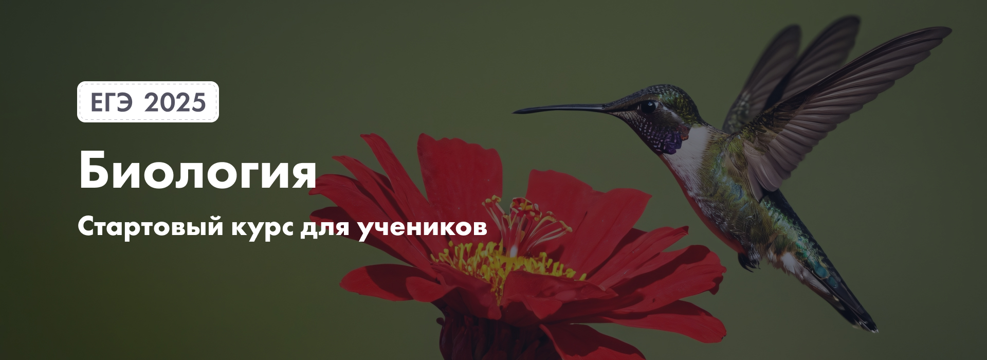 Баннер
